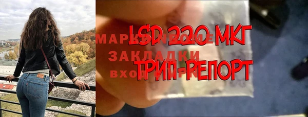марки nbome Гусев