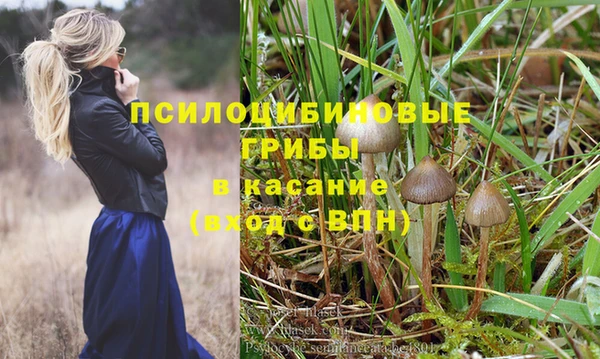 марки nbome Гусев